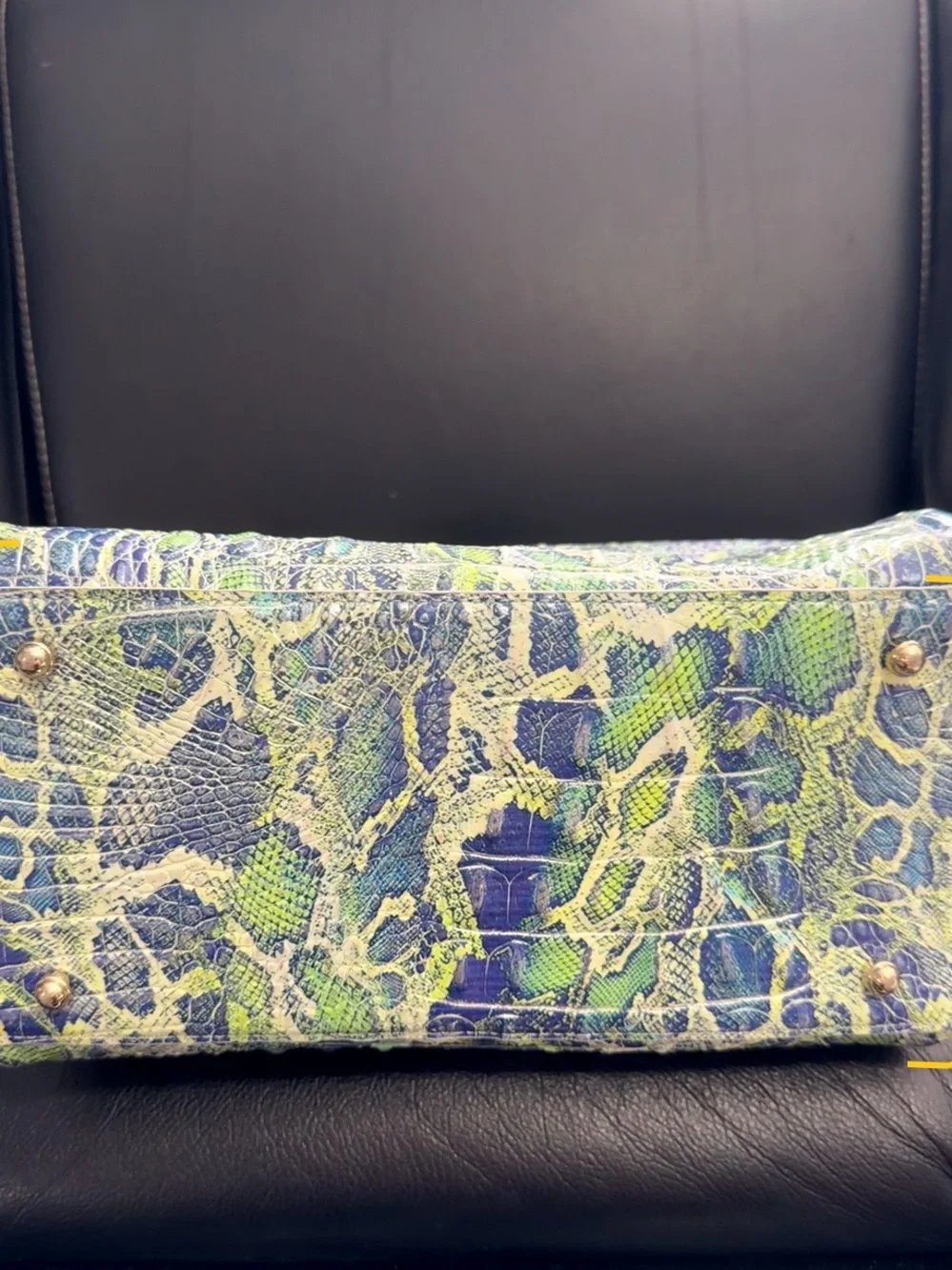 Brahmin… Small Caroline in Green Viper
